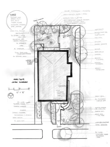 Reliable yard cleanup service for beautiful yards in Seattle, WA by HomeGrown Organics