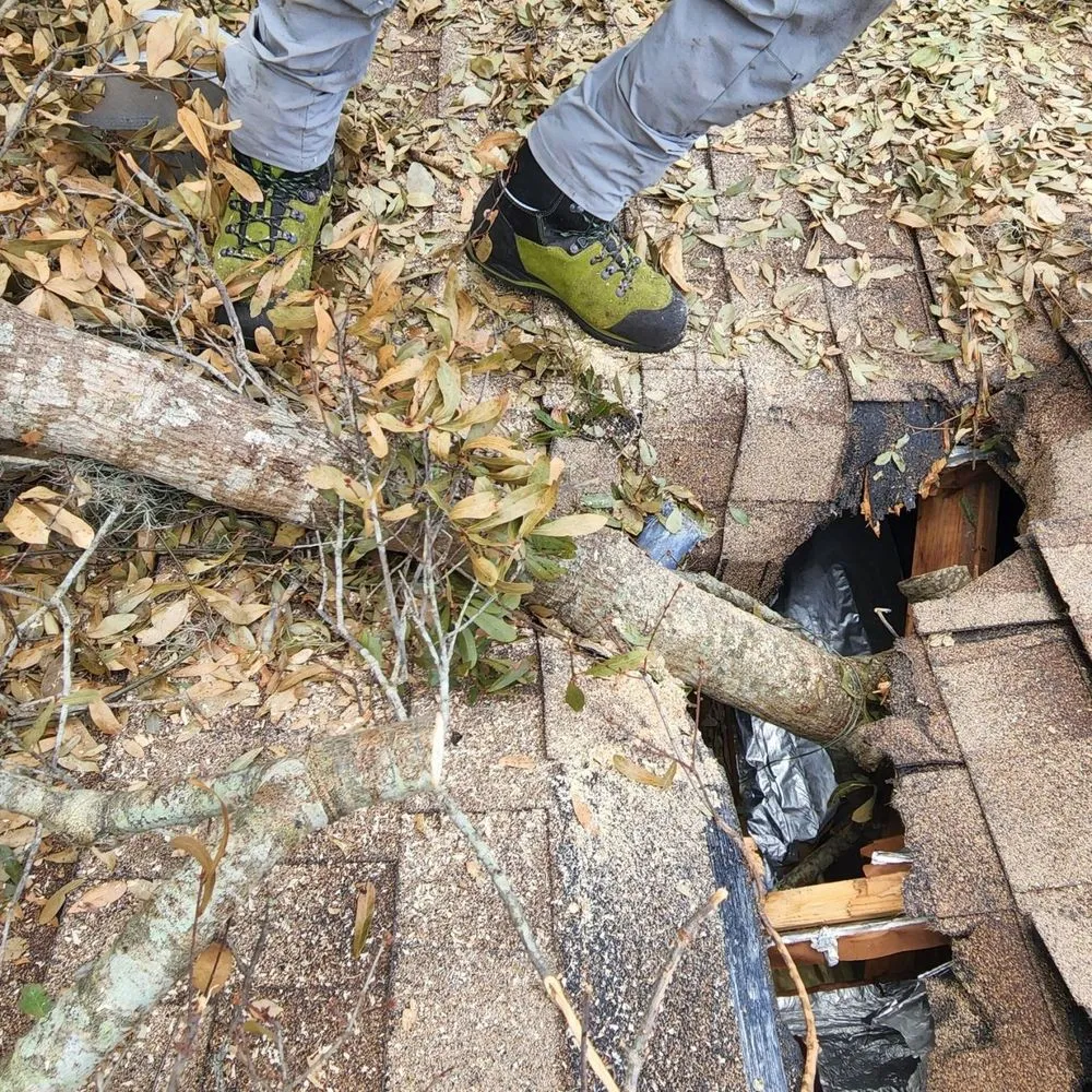 Reliable outdoor landscaping for beautiful yards in Titusville, FL by Homegrown Outdoors