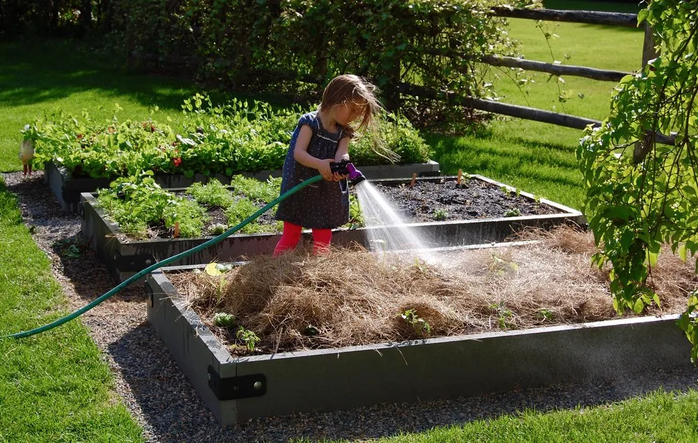 Expert landscaping services experts serving Arlington, MA - HomeHarvest, Custom Edible Gardens