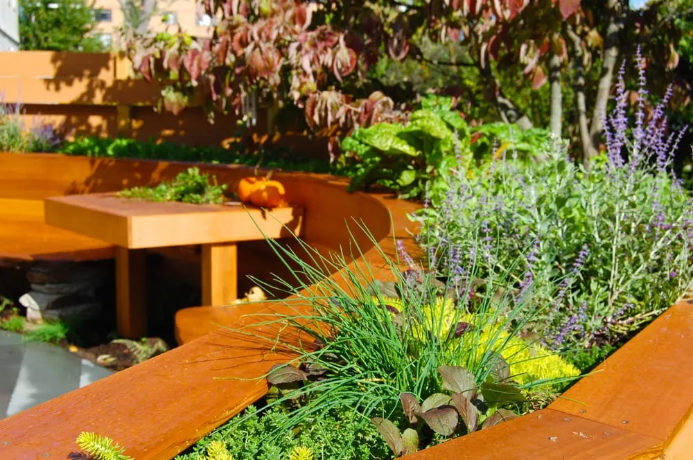 Expert lawn care service in Arlington, MA by HomeHarvest, Custom Edible Gardens