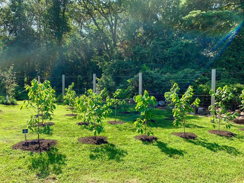 Custom landscape design for residential properties in Arlington, MA by HomeHarvest, Custom Edible Gardens