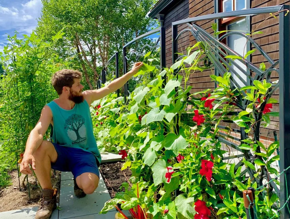 Custom lawn care service experts serving Arlington, MA - HomeHarvest, Custom Edible Gardens