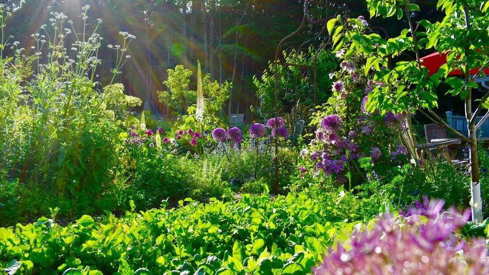 Custom residential landscaping for year-round maintenance across Arlington, MA - HomeHarvest, Custom Edible Gardens