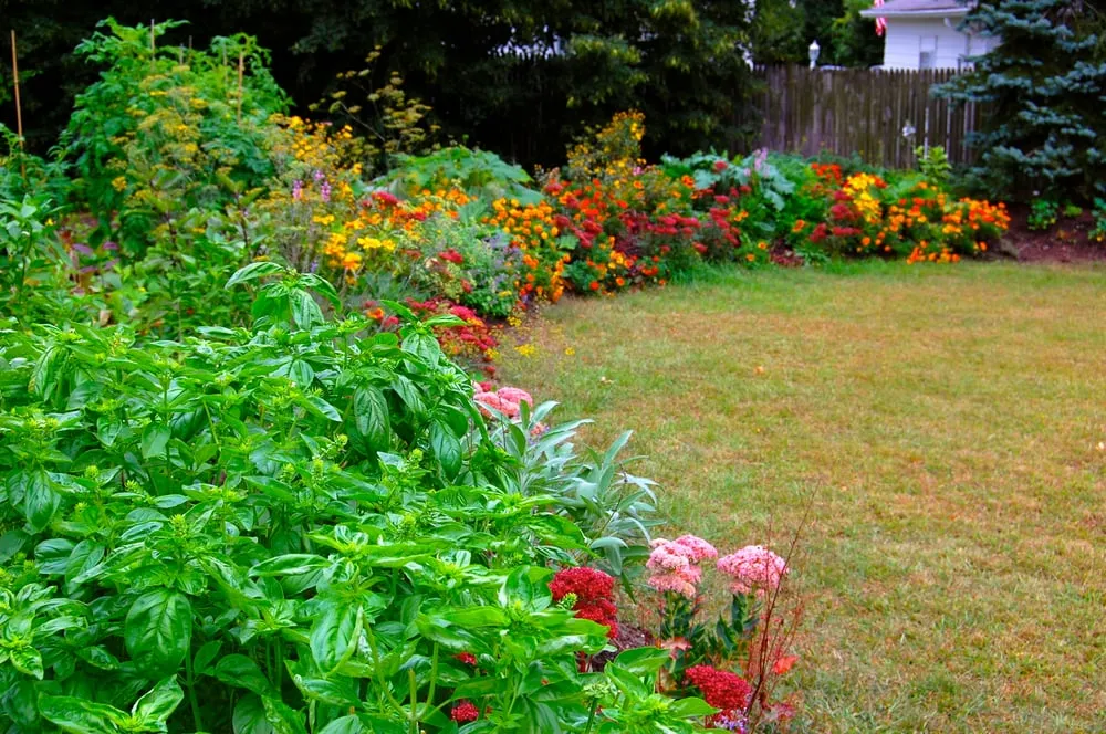 Affordable yard maintenance for outdoor upgrades across Arlington, MA - HomeHarvest, Custom Edible Gardens