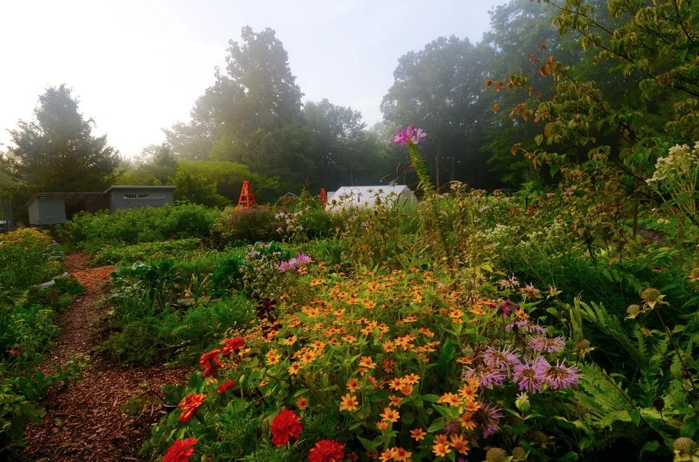 Top-rated garden landscaping experts serving Arlington, MA - HomeHarvest, Custom Edible Gardens