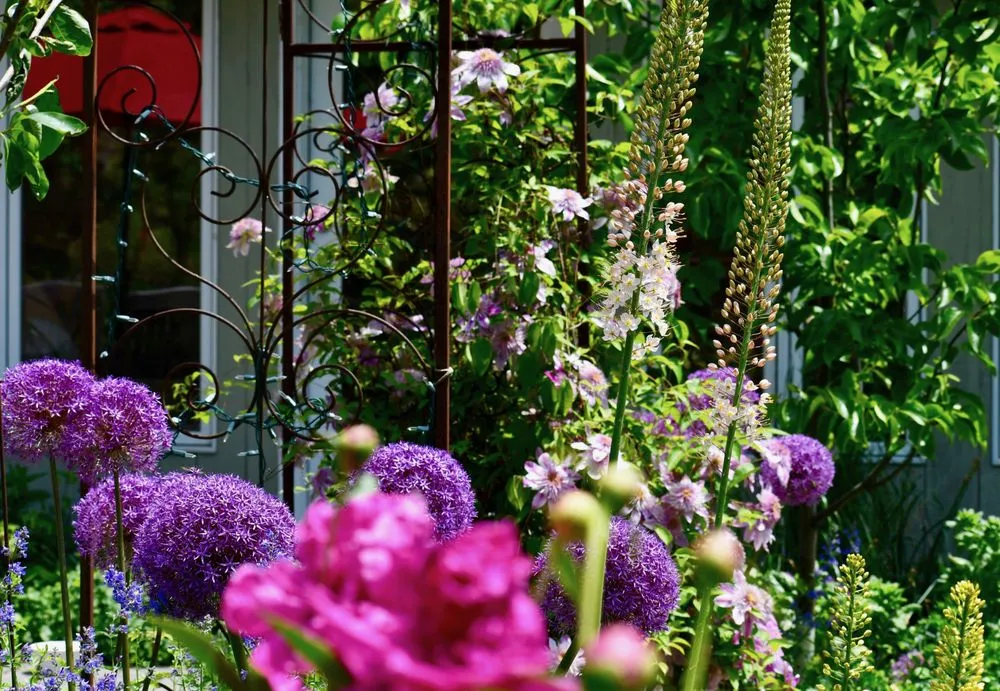 Trusted yard maintenance for homes across Arlington, MA - HomeHarvest, Custom Edible Gardens