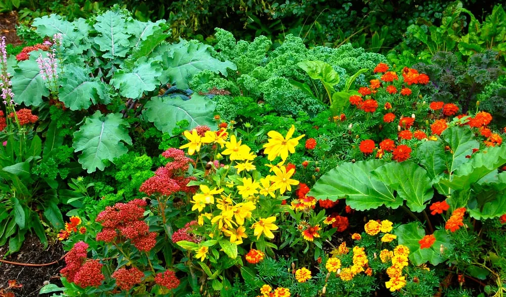 Trusted residential landscaping with custom design across Arlington, MA - HomeHarvest, Custom Edible Gardens