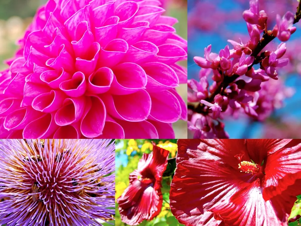 Expert landscape installation with custom design in Arlington, MA by HomeHarvest, Custom Edible Gardens