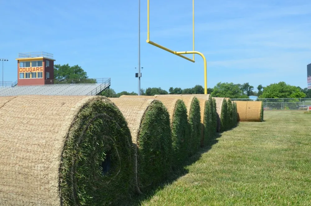 Expert yard cleanup service in Leesburg, VA by Homeland Contractors