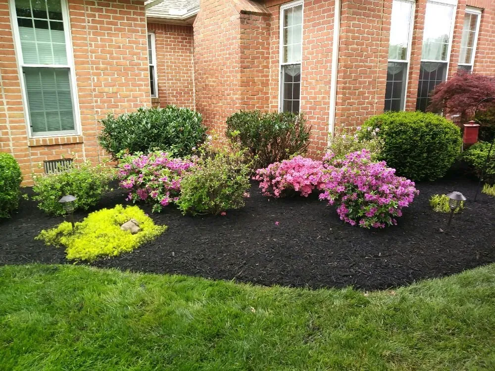Local yard maintenance in Middletown, MD by Homeland Lawn Care