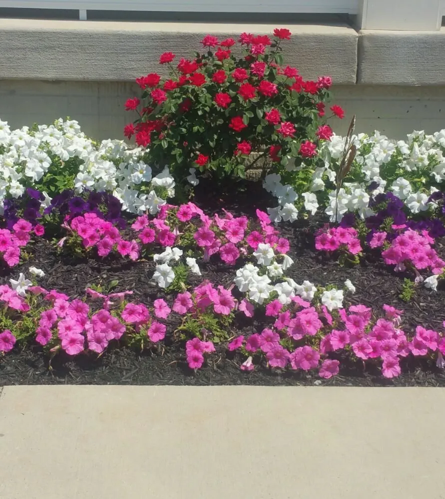 Reliable yard cleanup service for residential properties in Middletown, MD by Homeland Lawn Care