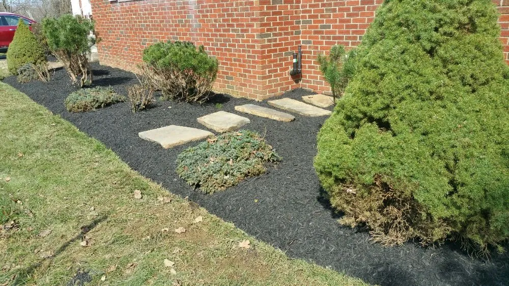 Professional yard cleanup service in Middletown, MD by Homeland Lawn Care