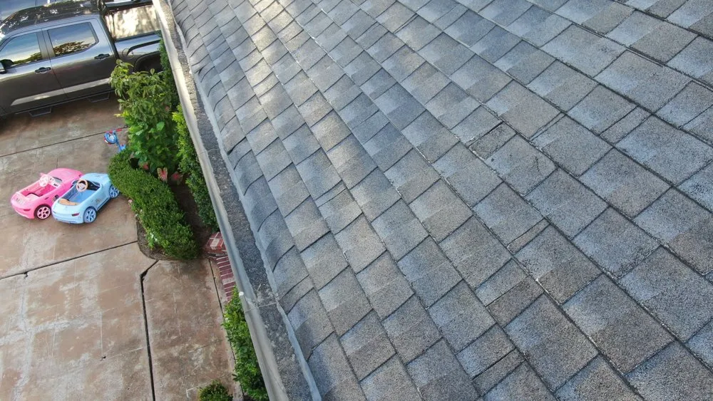 Professional yard cleanup service with custom design in Metairie, LA by HomePilot