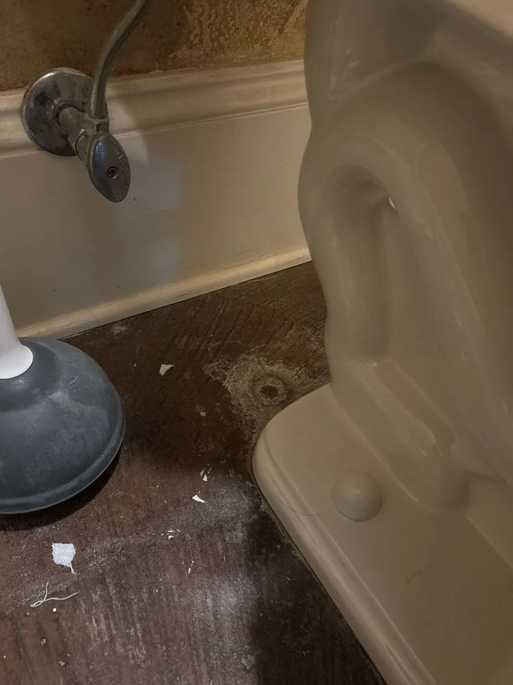 Top-rated lawn care service in Metairie, LA - HomePilot