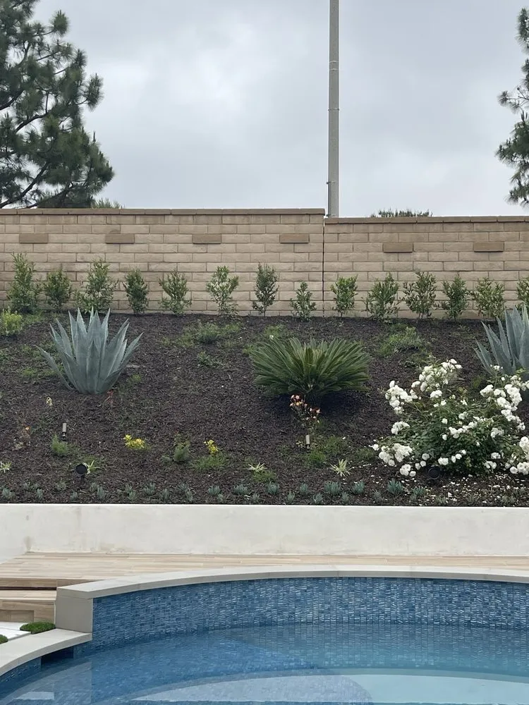 Reliable landscaping services experts serving Aliso Viejo, CA - Homepro Remodeling