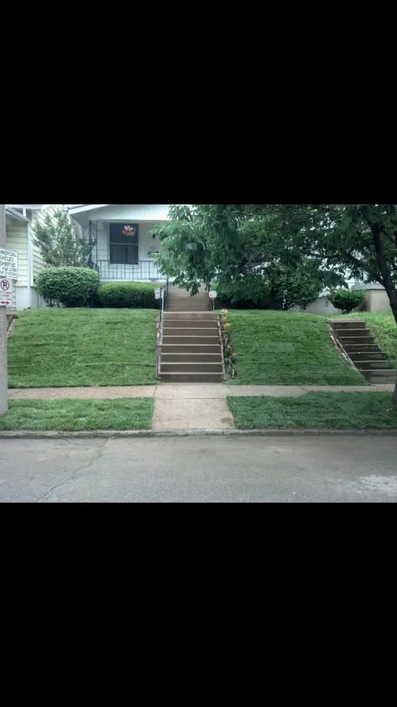 Expert yard cleanup service for residential properties across Saint Louis, MO - Homepro Repair