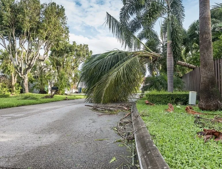 Affordable outdoor landscaping for homes across Bradenton, FL - HomePryde