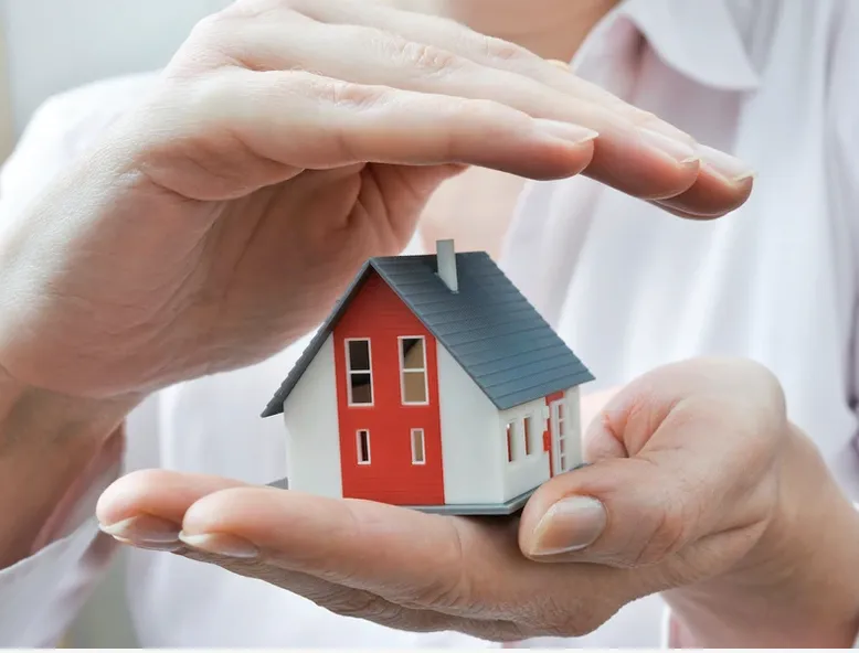 Affordable yard cleanup service for outdoor upgrades in Bradenton, FL by HomePryde