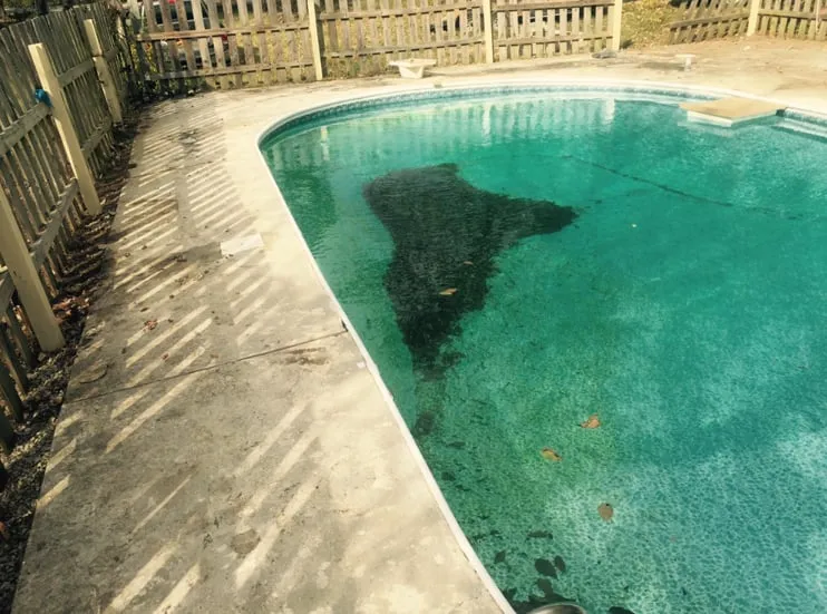 Custom lawn mowing service in Ringgold, GA by Homescape Pros