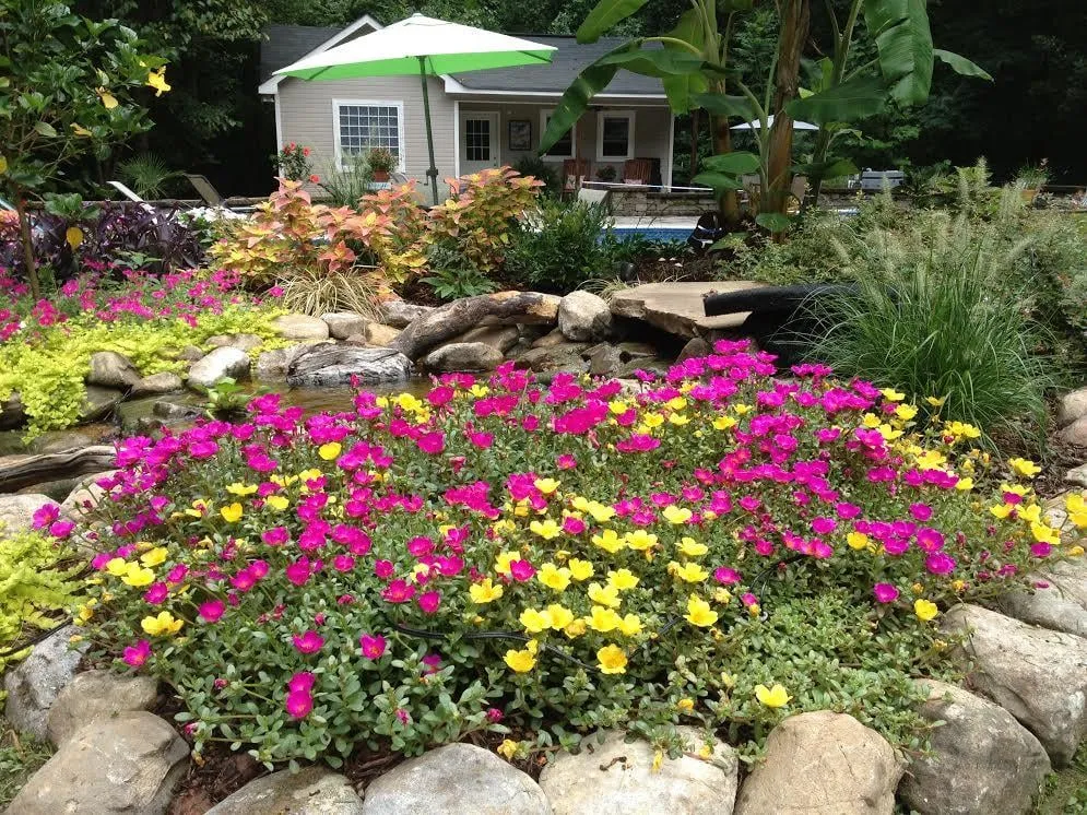 Affordable yard maintenance in Ringgold, GA - Homescape Pros