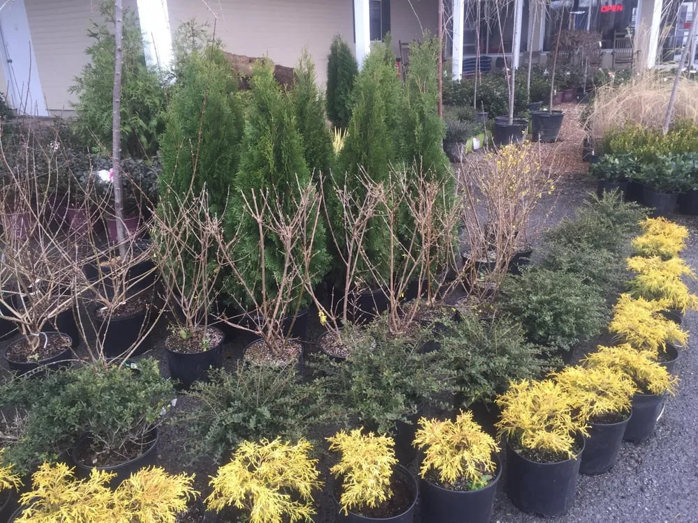 Custom residential landscaping in Ringgold, GA by Homescape Pros