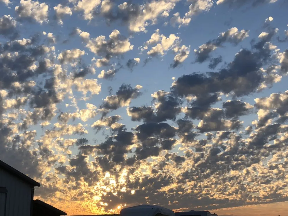 Professional yard maintenance near you across Boise, ID - Homescapes Boise