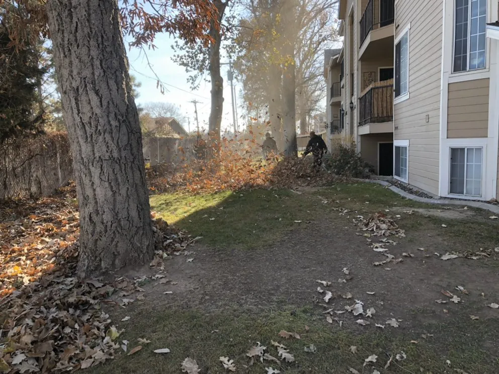 Trusted landscape design for homes across Boise, ID - Homescapes Boise