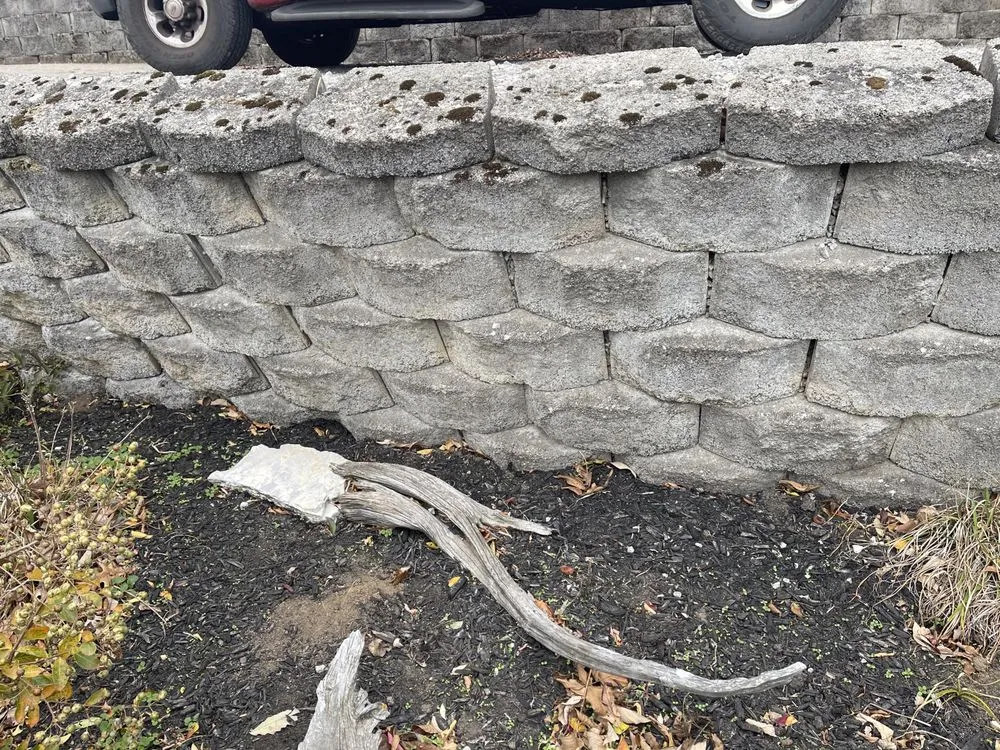 Trusted yard cleanup service in Harrodsburg, KY - Homescapes