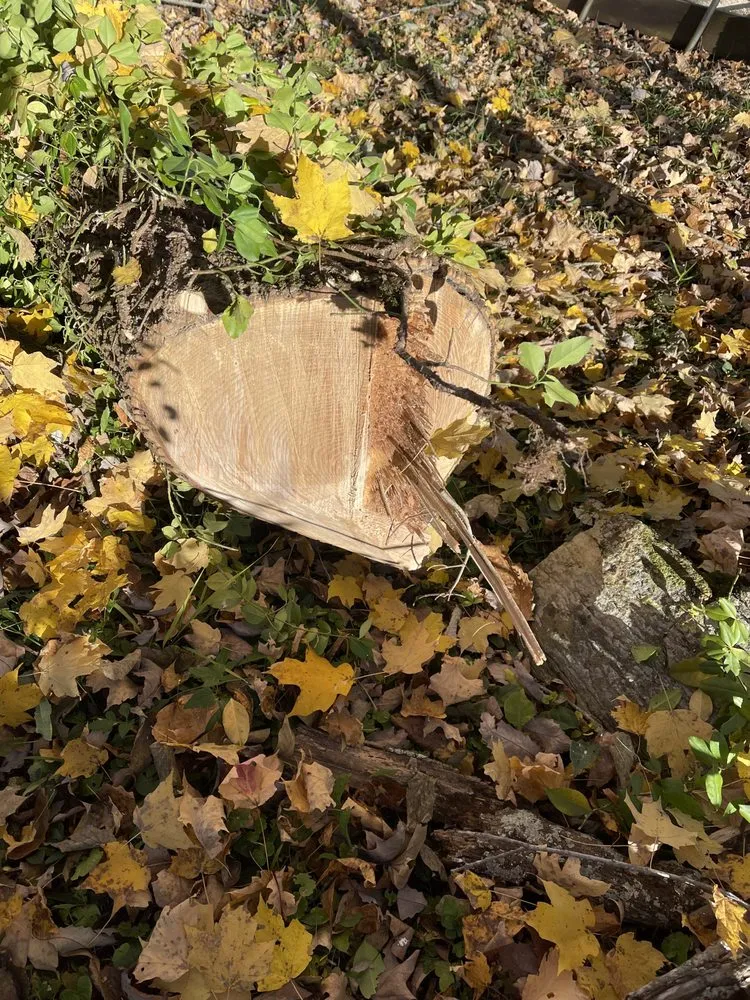 Expert landscaping services experts serving Harrodsburg, KY - Homescapes