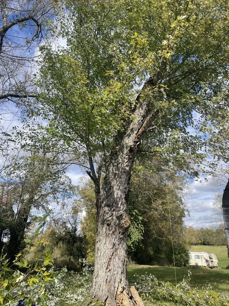 Professional residential landscaping in Harrodsburg, KY - Homescapes