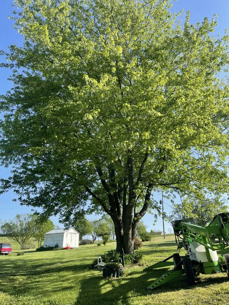 Trusted lawn care service experts serving Harrodsburg, KY - Homescapes