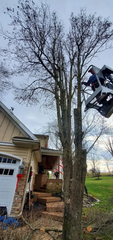 Reliable yard cleanup service for homes in Harrodsburg, KY by Homescapes