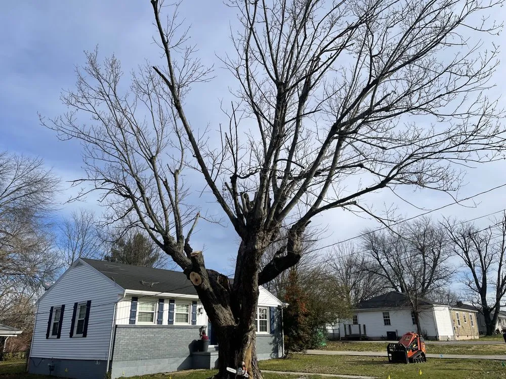 Affordable landscaping services experts serving Harrodsburg, KY - Homescapes