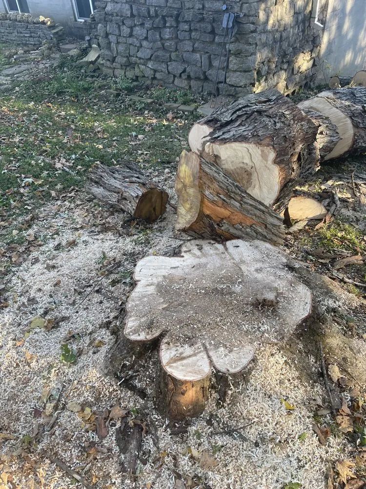 Reliable yard cleanup service for residential properties across Harrodsburg, KY - Homescapes