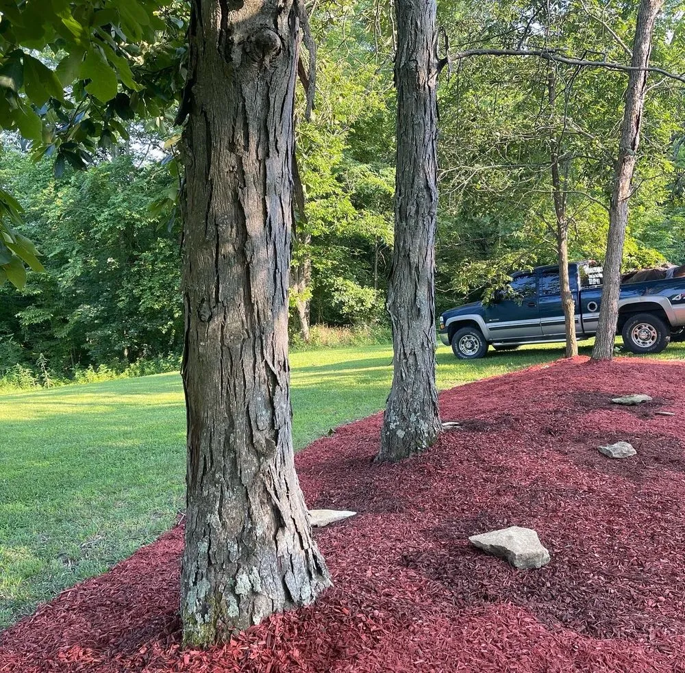 Expert landscape installation experts serving Harrodsburg, KY - Homescapes