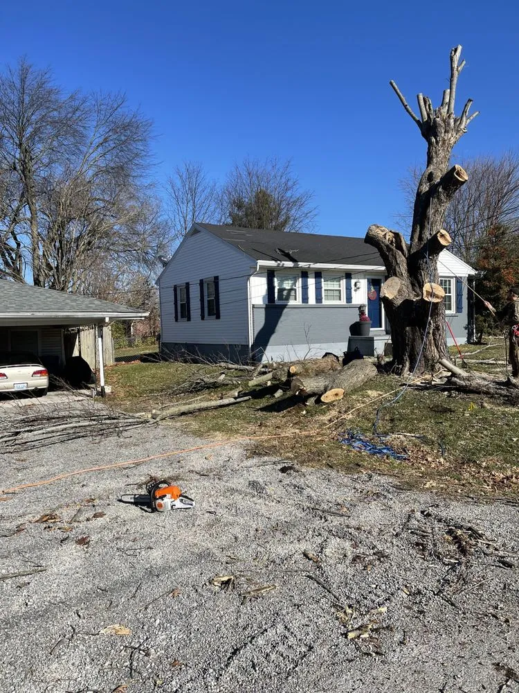 Custom yard maintenance experts serving Harrodsburg, KY - Homescapes