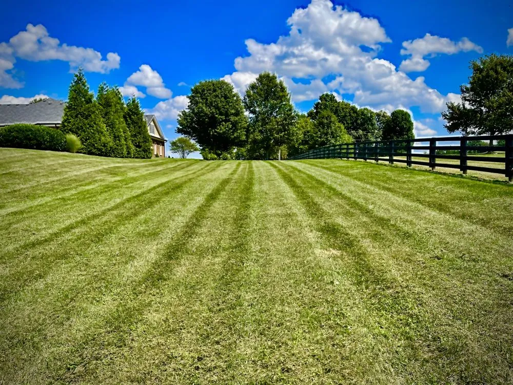 Local lawn care service experts serving Harrodsburg, KY - Homescapes