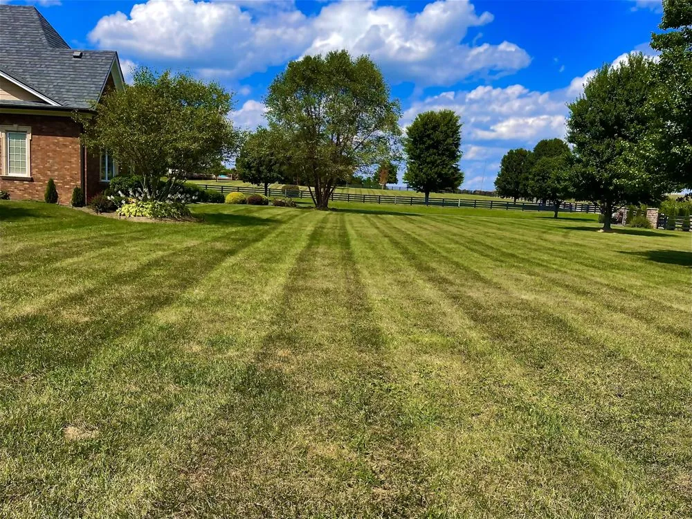 Custom landscape installation experts serving Harrodsburg, KY - Homescapes