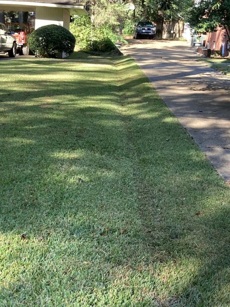 Expert yard cleanup service with custom design across Madison, MS - Homescapes Lawn & Garden