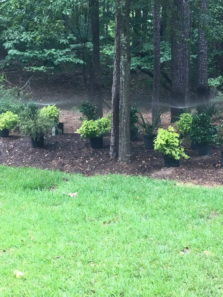 Professional lawn mowing service experts serving Madison, MS - Homescapes Lawn & Garden