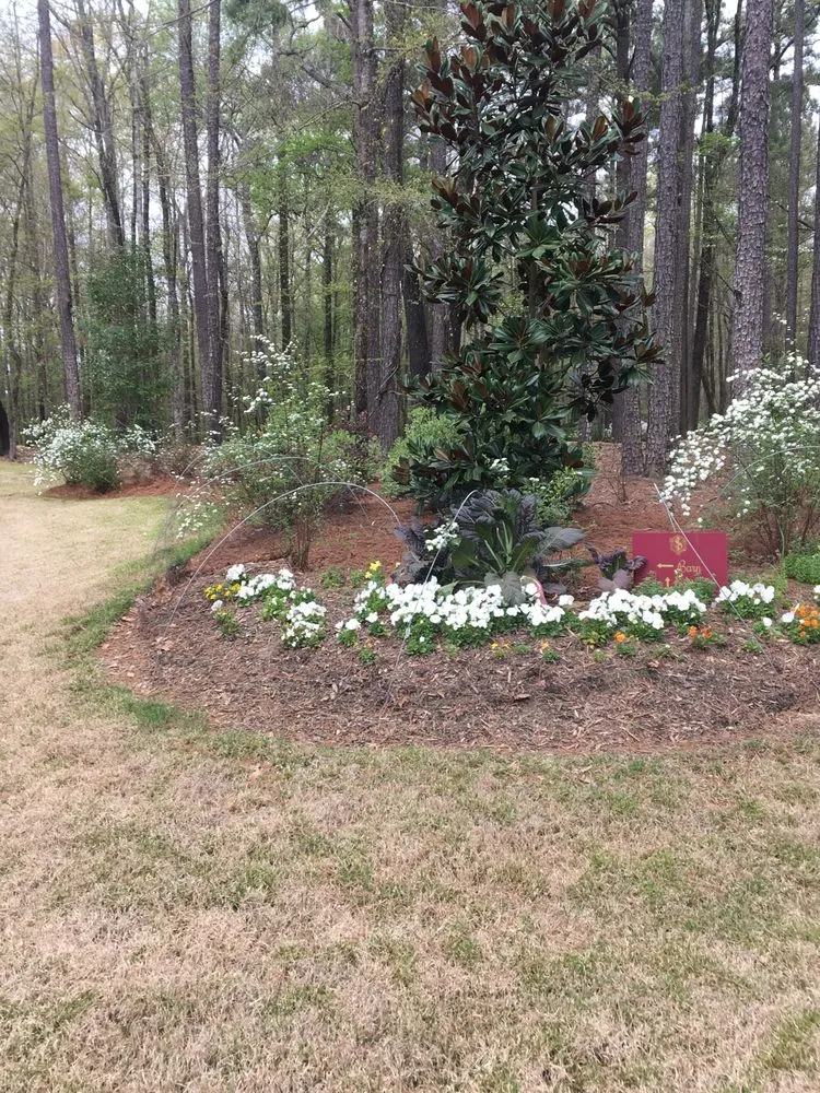 Affordable lawn mowing service in Madison, MS - Homescapes Lawn & Garden