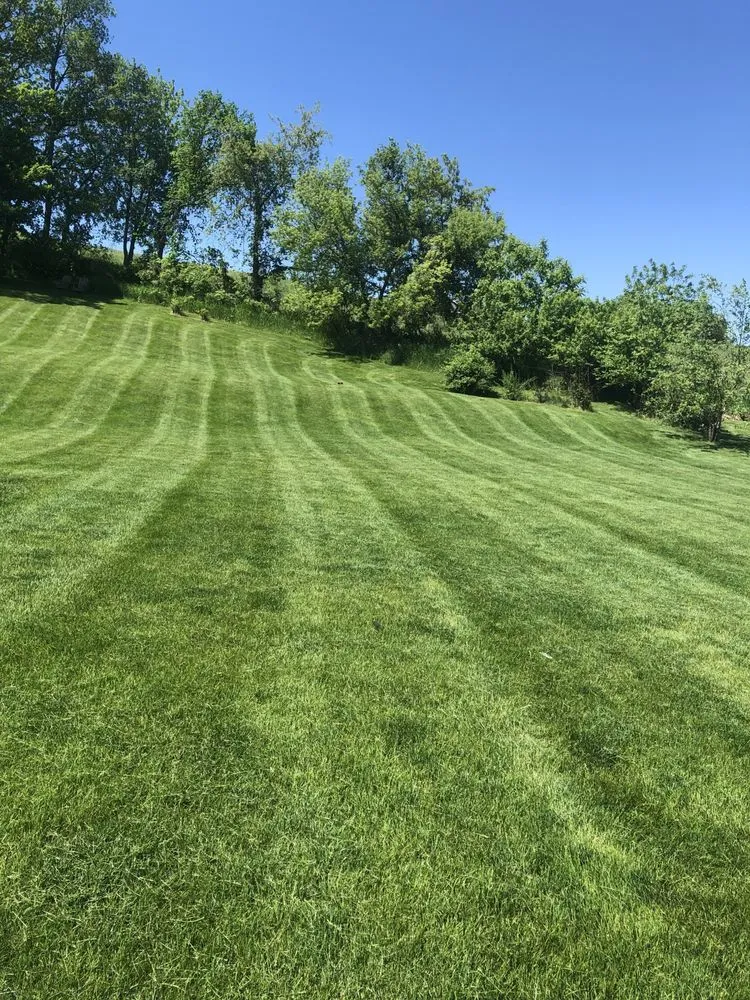 Custom yard cleanup service for beautiful yards in Dubuque, IA by Homestead Eco-Innovations