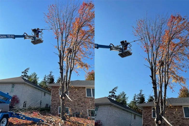 Trusted landscape installation for outdoor upgrades in Dubuque, IA by Homestead Eco-Innovations