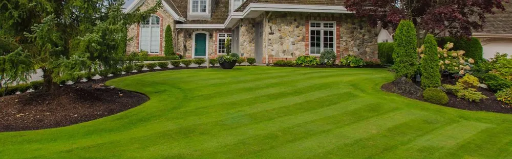 Affordable yard maintenance in Dubuque, IA - Homestead Eco-Innovations