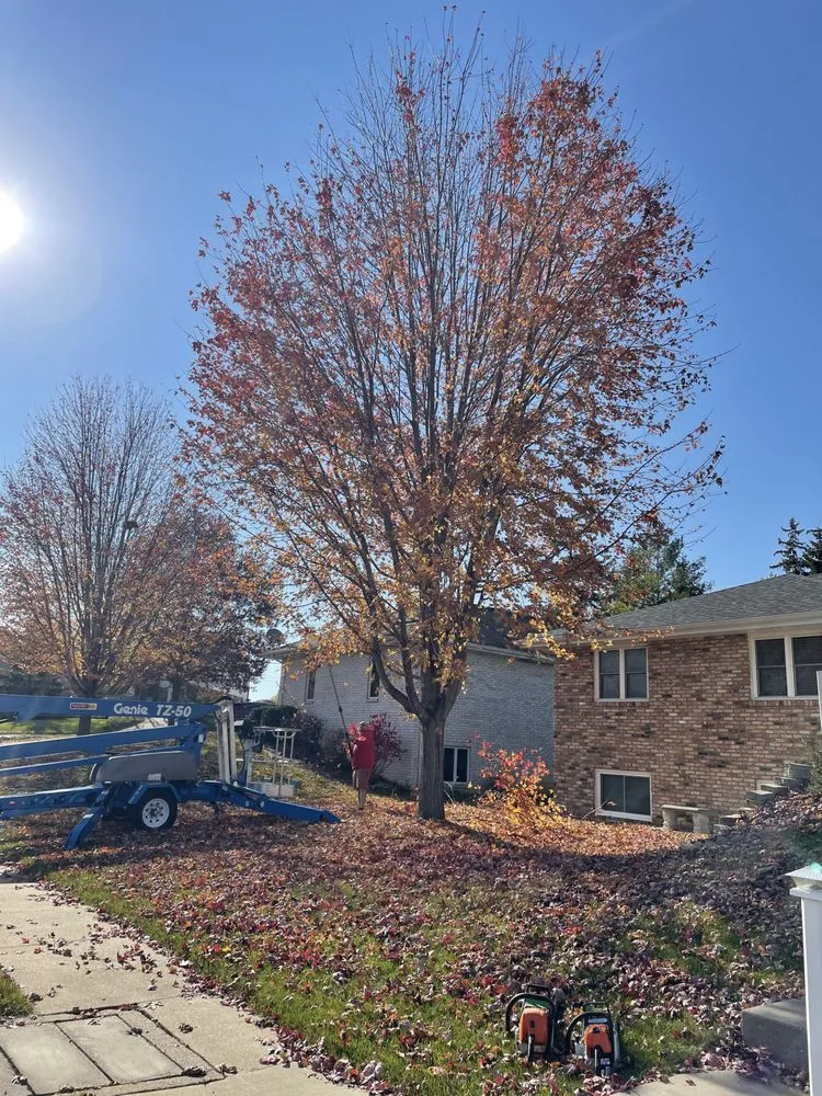 Expert lawn mowing service in Dubuque, IA by Homestead Eco-Innovations