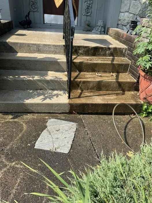 Professional yard cleanup service in Fort Wayne, IN - Homestead Exteriors