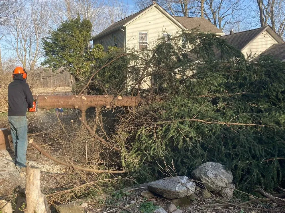 Local garden landscaping experts serving Mattawan, MI - Homestead Handiwork