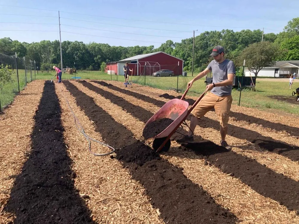 Expert yard cleanup service for residential properties in Mattawan, MI by Homestead Handiwork
