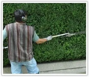 Top-rated landscaping services for residential properties across Cambridge, OH - Homestead Landscapers