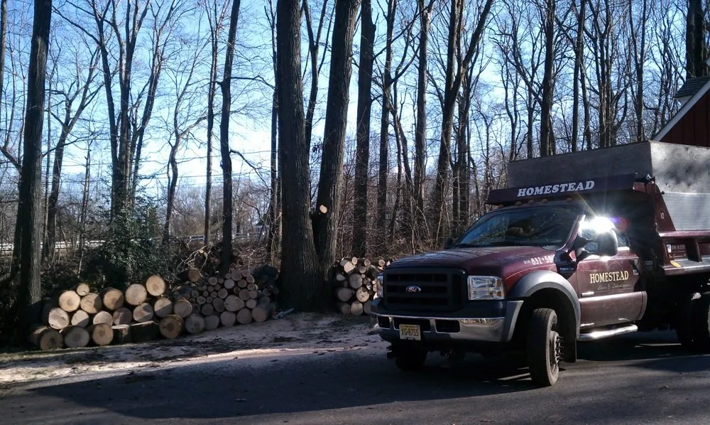 Local lawn care service for beautiful yards in Glen Gardner, NJ by Homestead Lawn & Landscaping